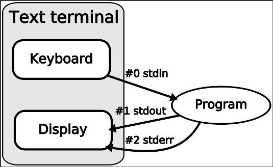 streams